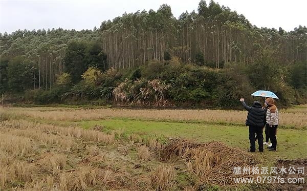 塔城地区陈老师带着爱徒寻龙点穴